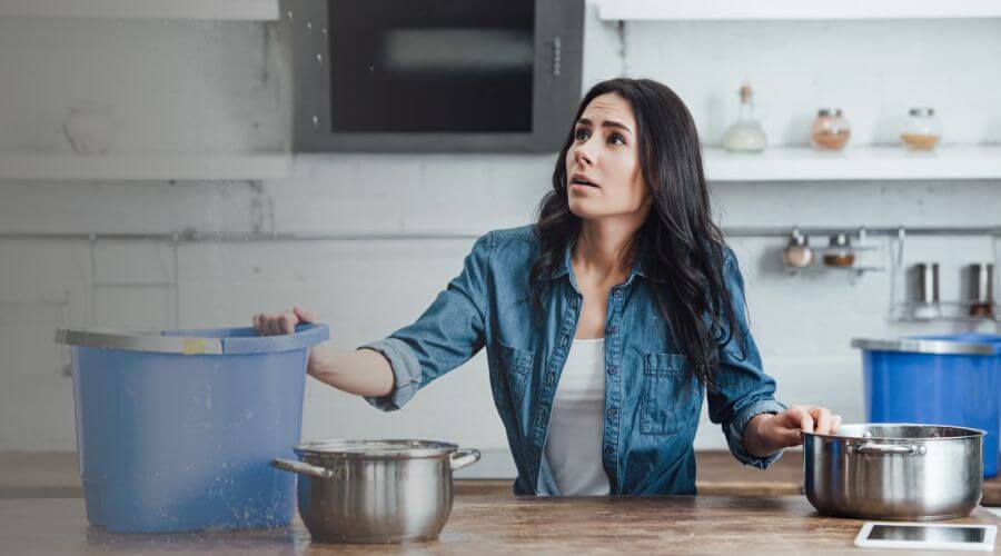 Why choose JiveHaven for water damage restoration in Santa Monica